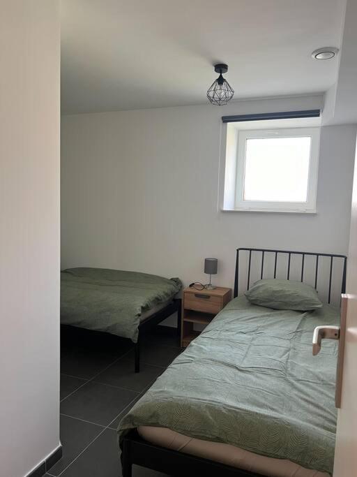 Charmant Logement Brugelette Proche De Pairi Daiza 外观 照片