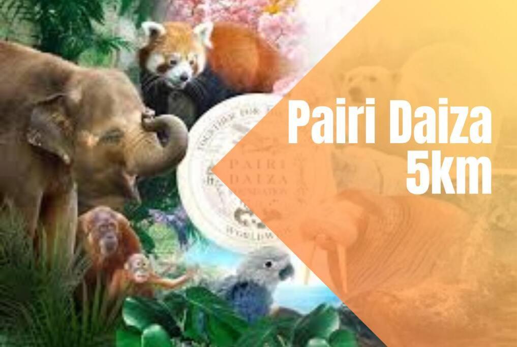 Charmant Logement Brugelette Proche De Pairi Daiza 外观 照片